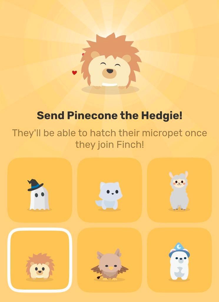 Finch micropet! Dit wil je ;)