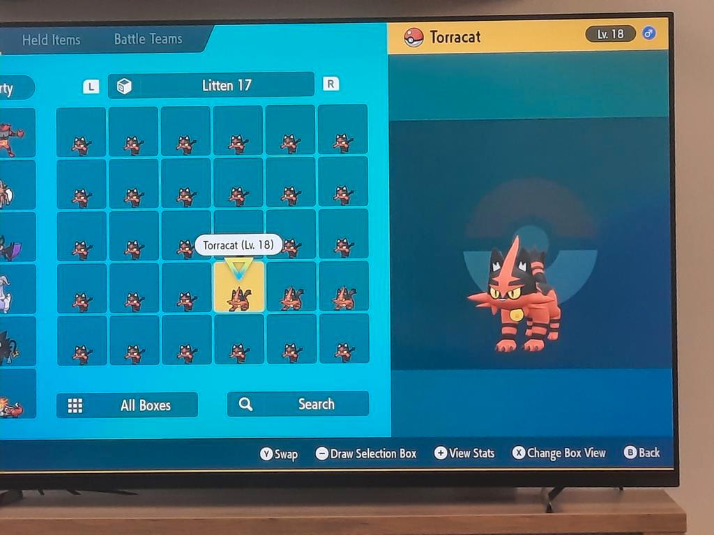 Litten pokemon voilet en scarlet