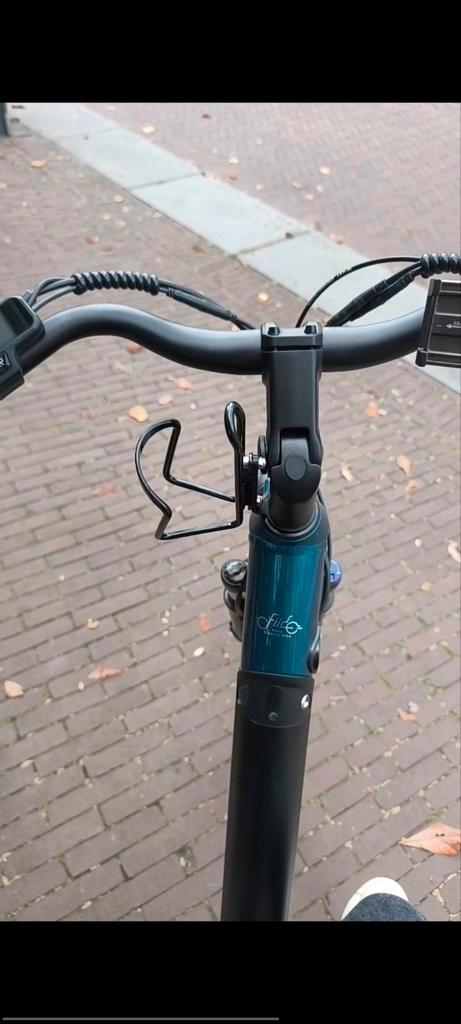 Gestolen elektrische fiets Fiido C11 Mierlo