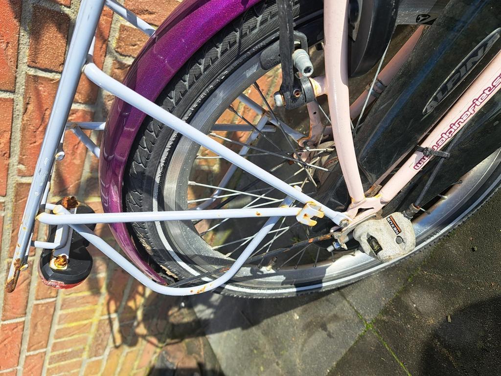 Alpina meisjes fiets 20 inch