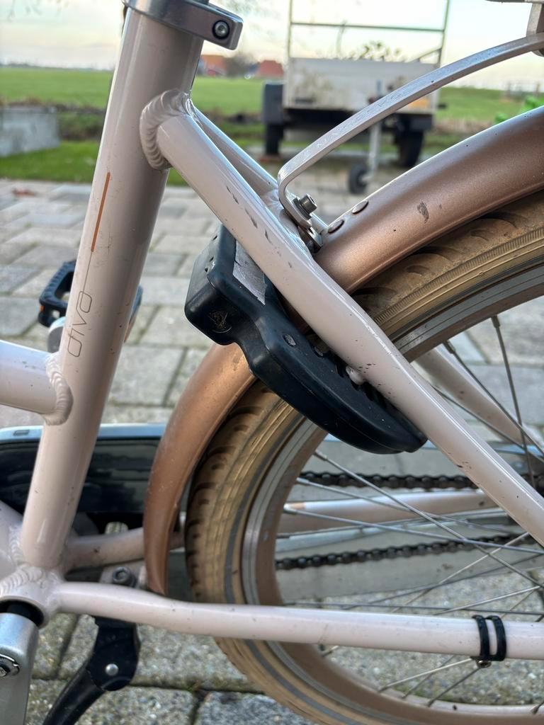 Batavus diva 24 inch