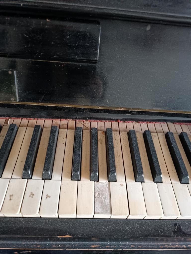 Piano van steinbach