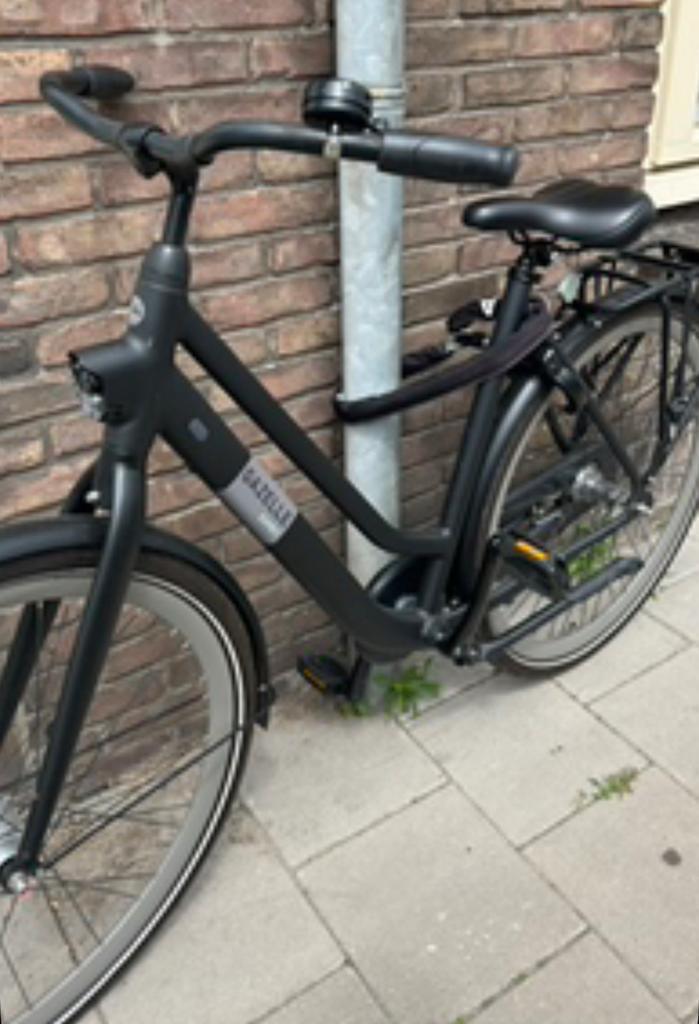 Fiets gestolen in overvecht (Geldbeloning)