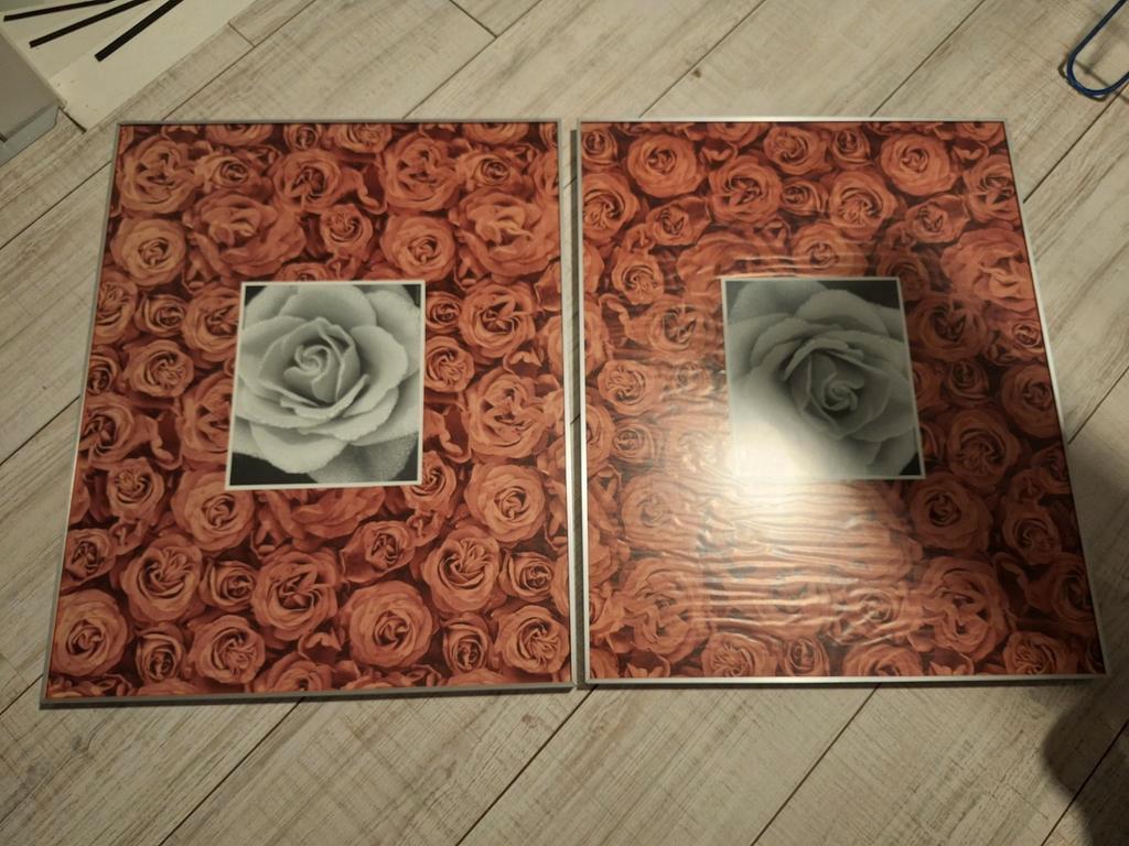 Gratis ophalen: Set van 2 Rozen Fotolijsten