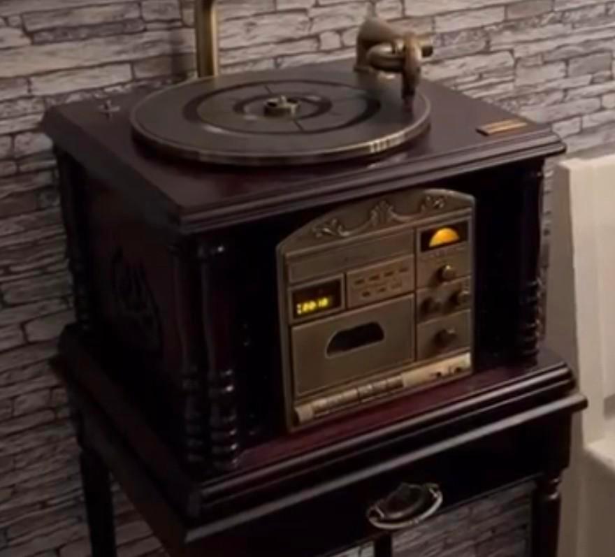 Elpee Lp speler ( dvd radio cassette