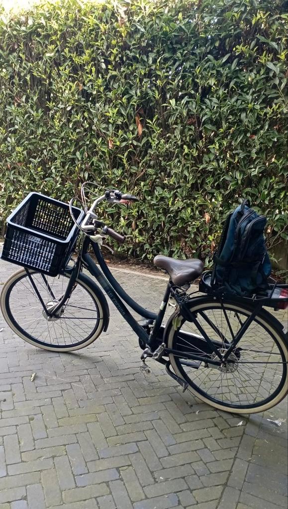 Gestolen/gezocht Cortina electrische fiets in Someren
