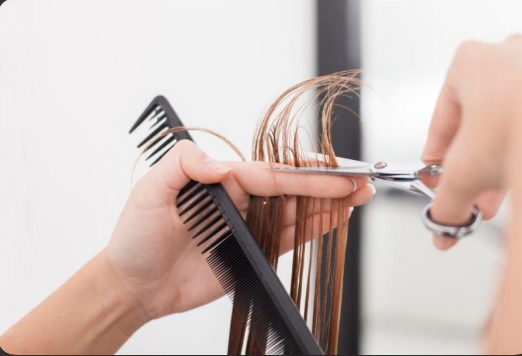 Knipmodellen gezocht – student kappersopleiding (Groningen)