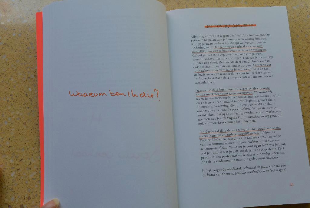 Zou jij jezelf aannemen? Hét sollicitatiehandboek Kraaikamp