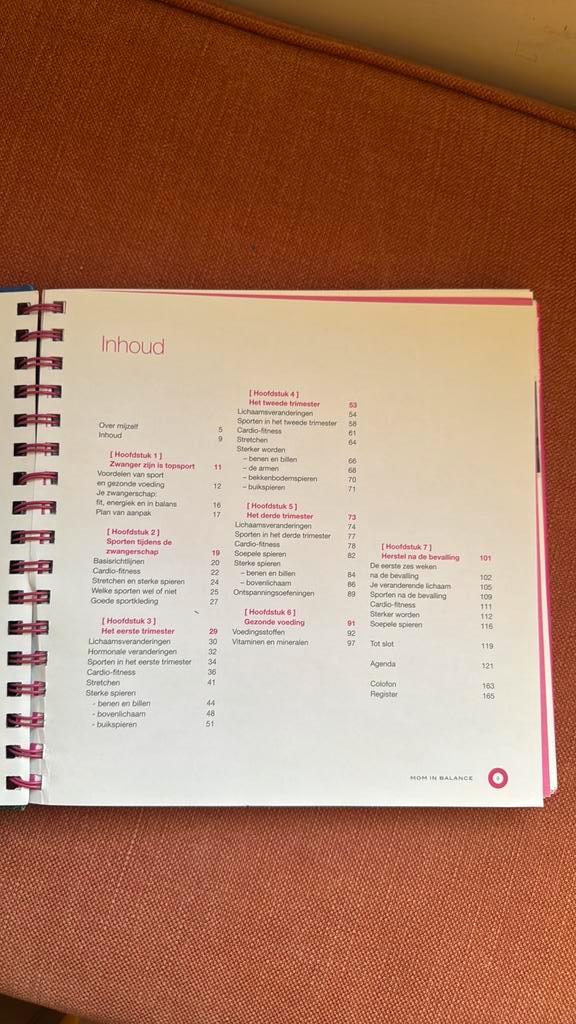 Esther van Diepen - Gezond en energiek zwanger