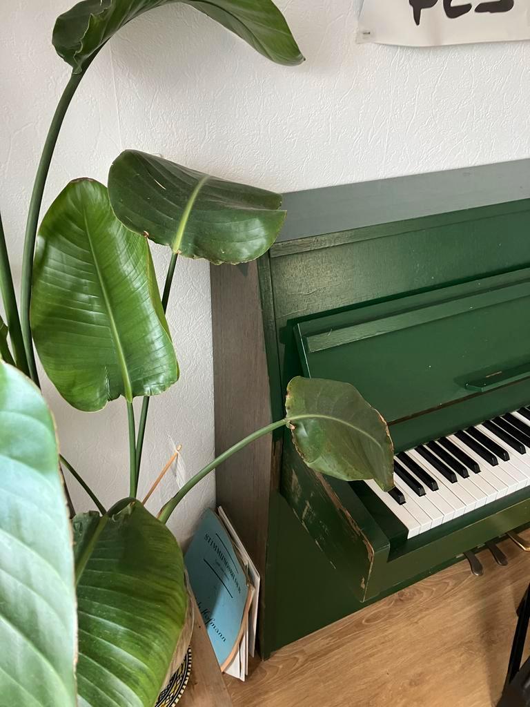 Groene piano GRATIS