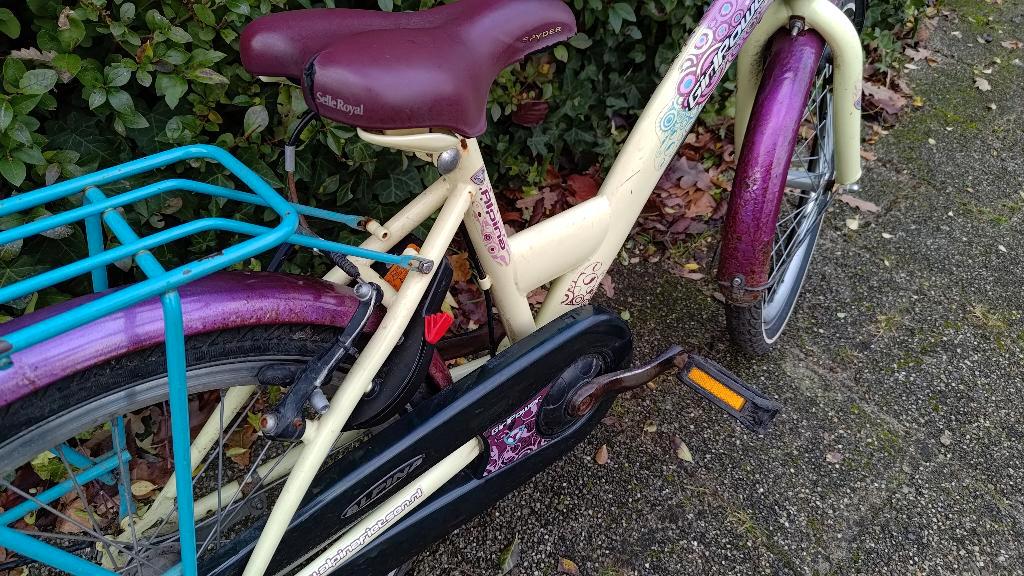 Kinderfiets Alpina Girlpower 20 inch met mandje