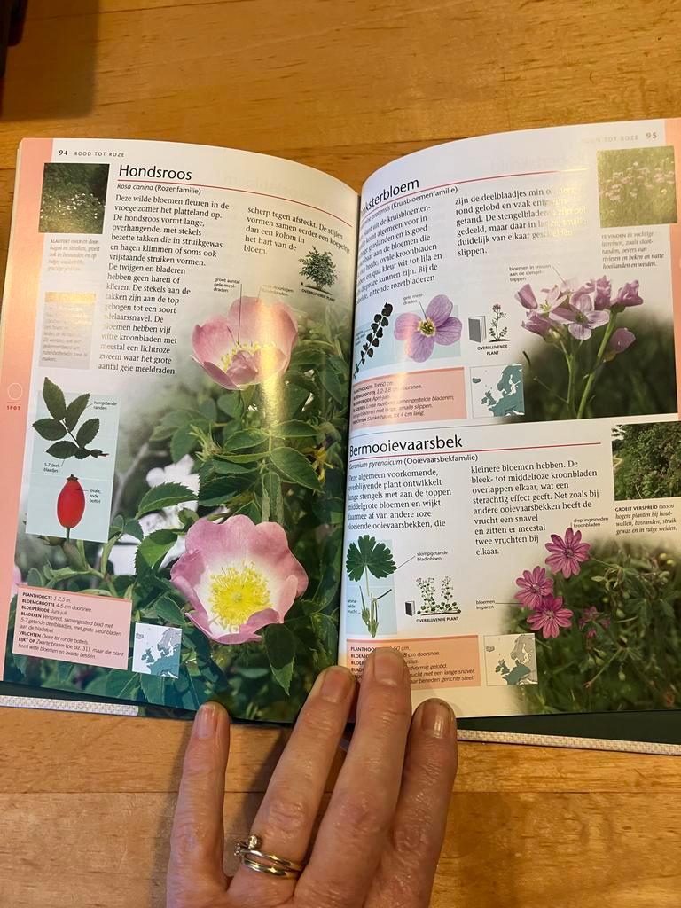 Postcode loterij boeken: Vlinders en Wilde bloemen