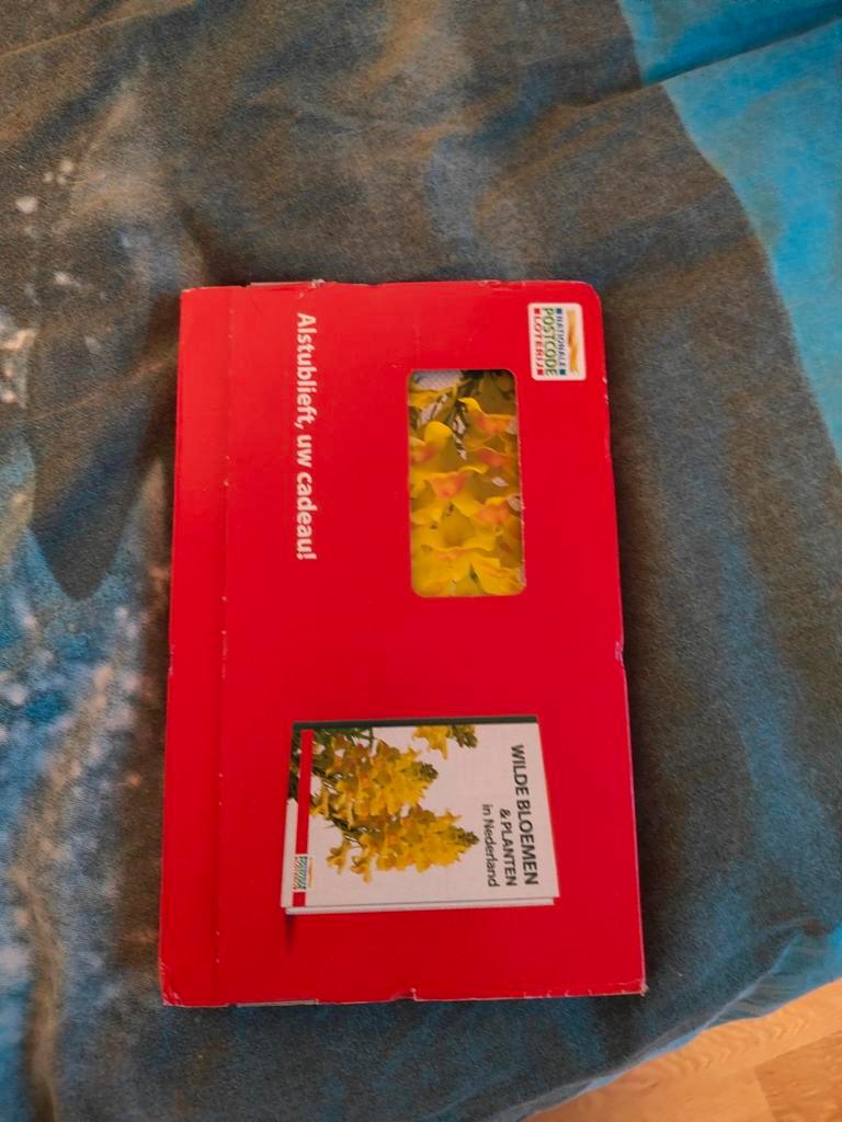 Wilde Bloemen & Planten in Nederland - Nieuwstaat