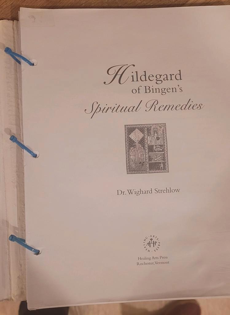Hildegard of Bingen''s Spiritual Remedies - Spiritualiteit