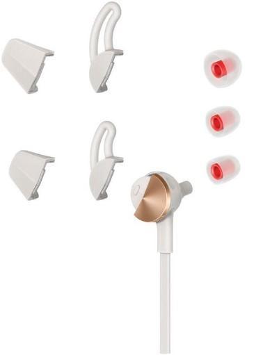 FitBit Flyer Ear Tips GRATIS