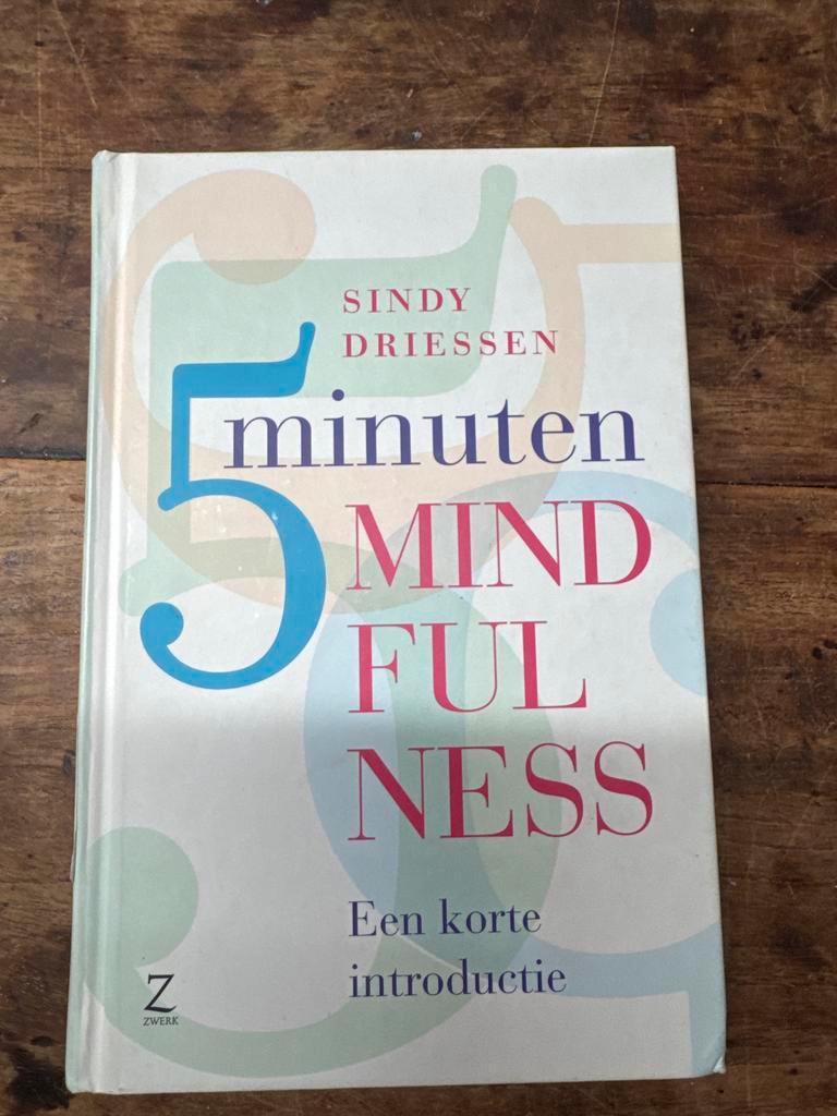 5 Minuten Mindfulness - Sindy Driessen