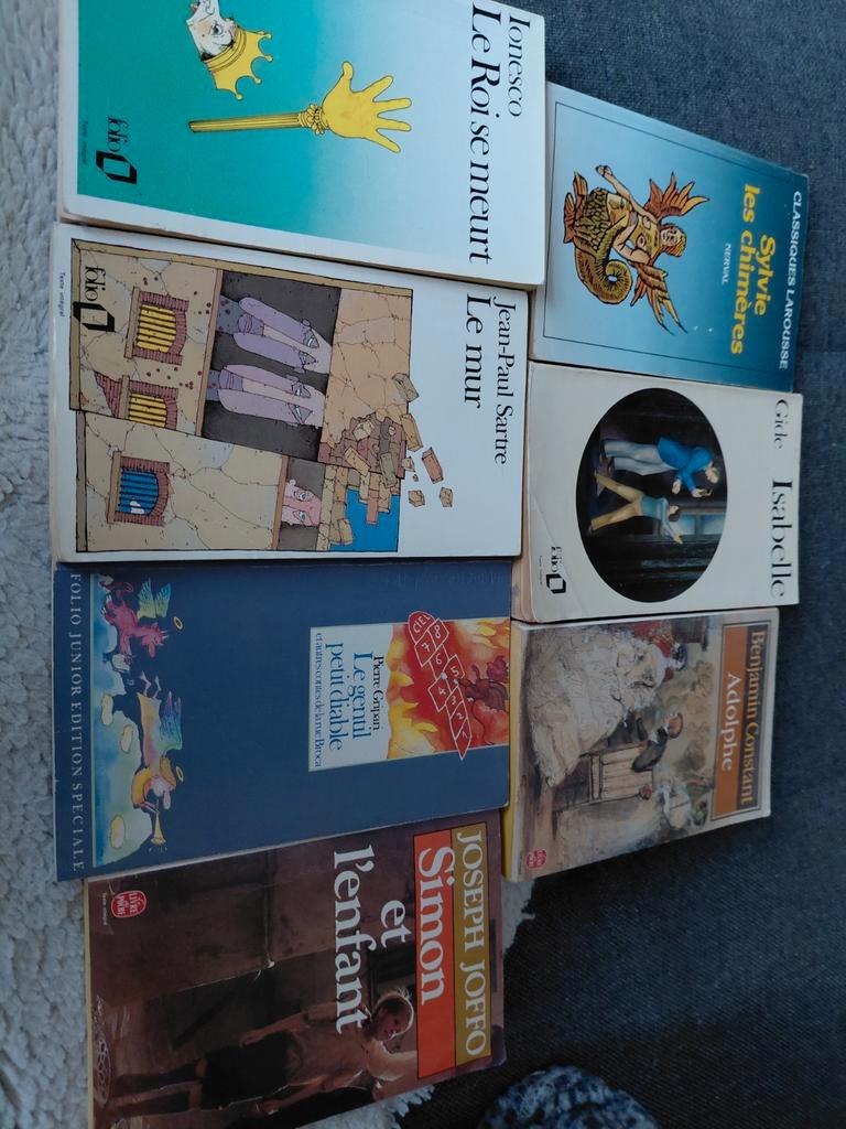 Boekenpakket Franse literatuur