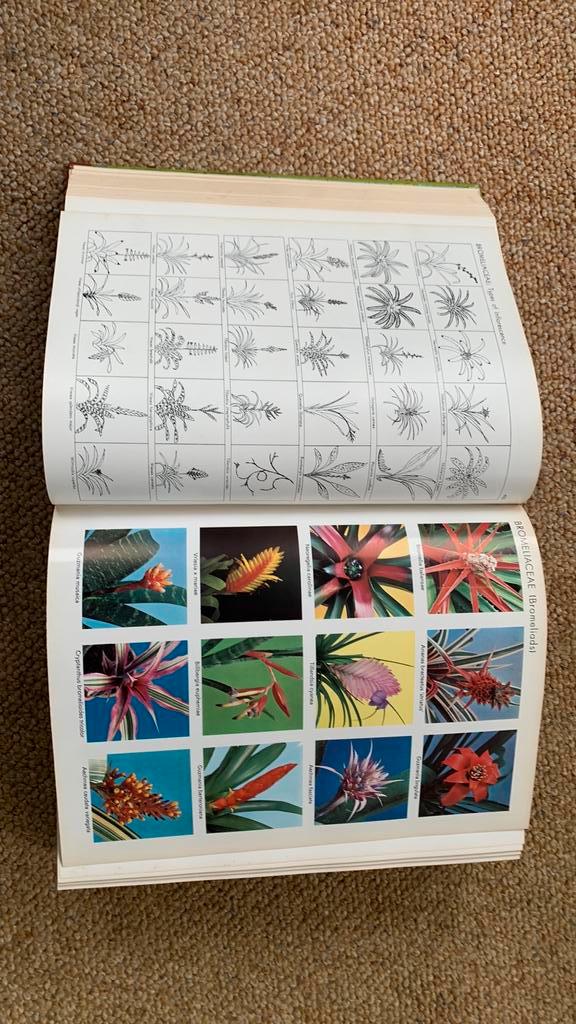 Exotica Pictorial Cyclopedia of Exotic Plants