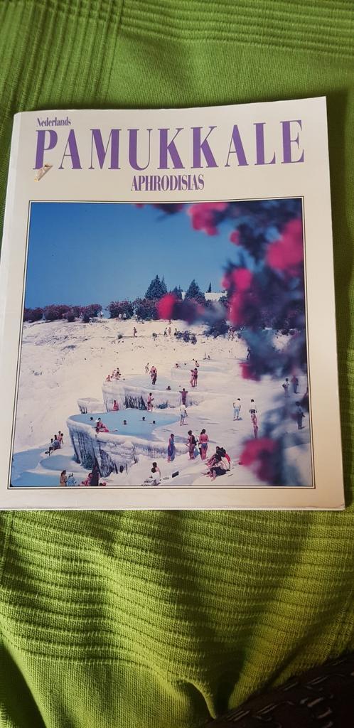 Verschillende reisboekjes .