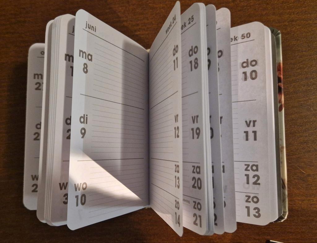 Weekagenda 2026, bloemen, De Hobbit [NIEUW]