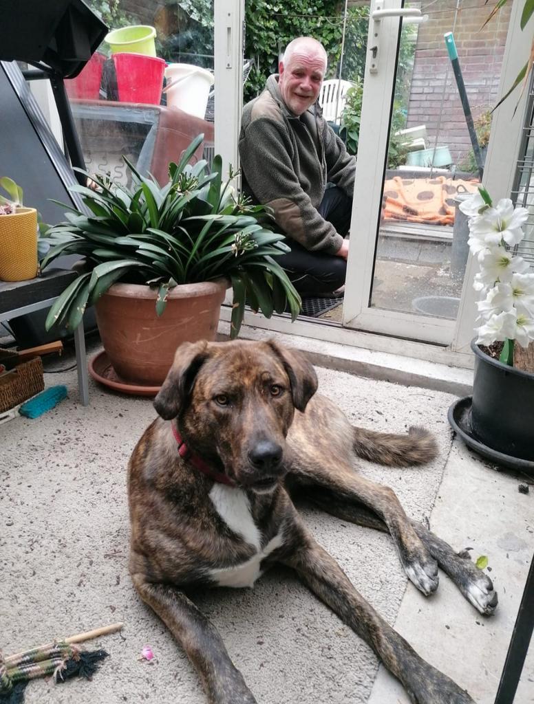 Wie heeft er iets aan inboedel voor Kees en Tommie?