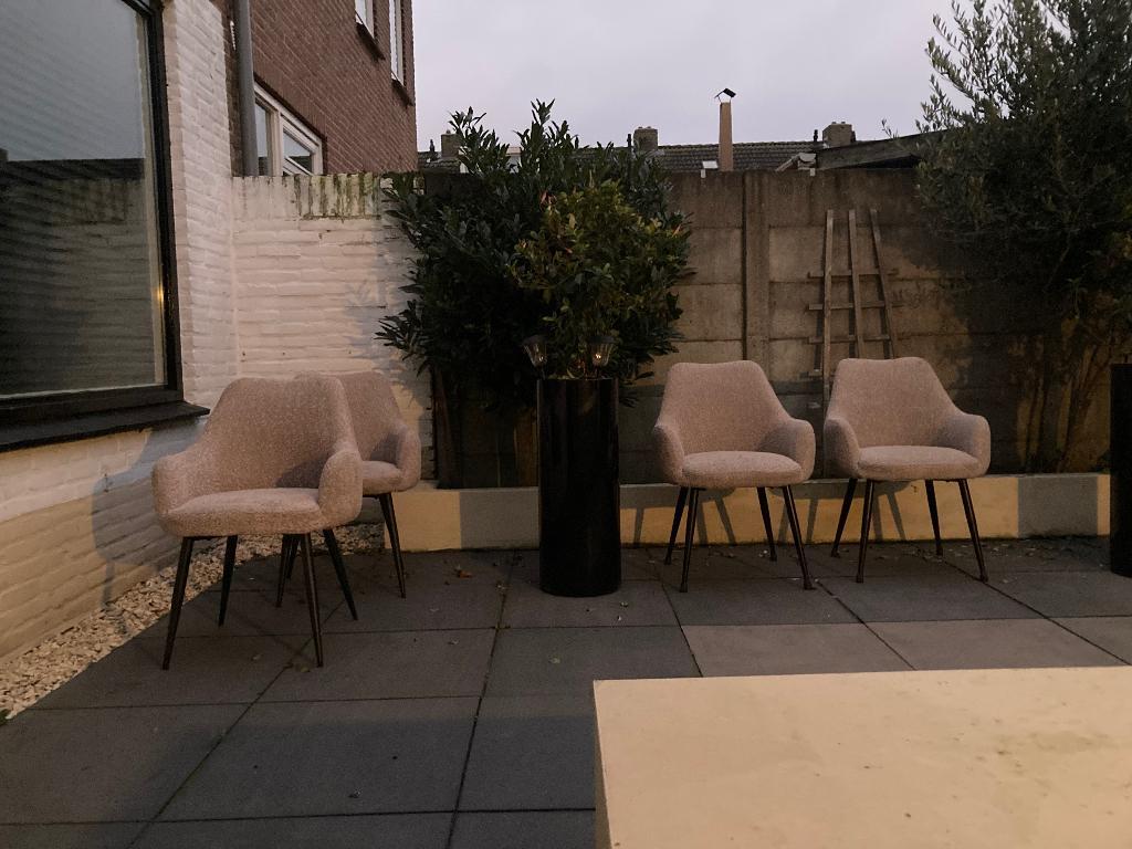 Eetkamerstoelen teddy (4 stuks)