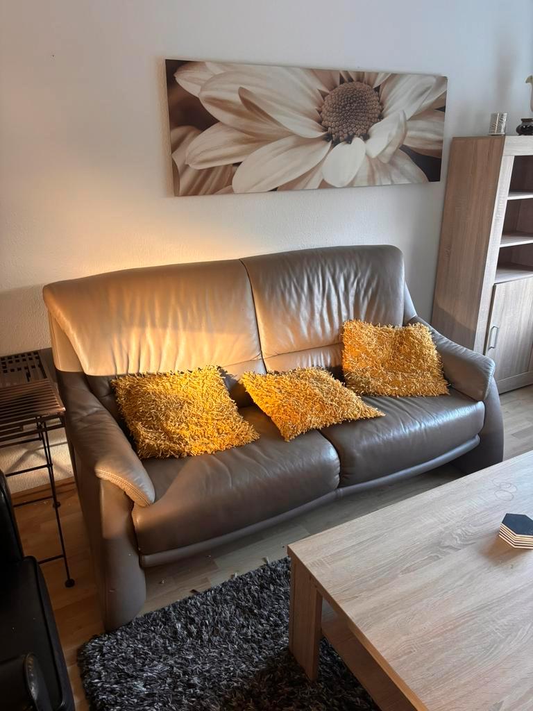 Gratis vandaag ophalen