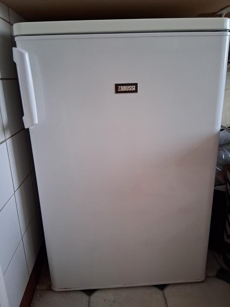 Zanussi Koelkast - Gratis Af te Halen