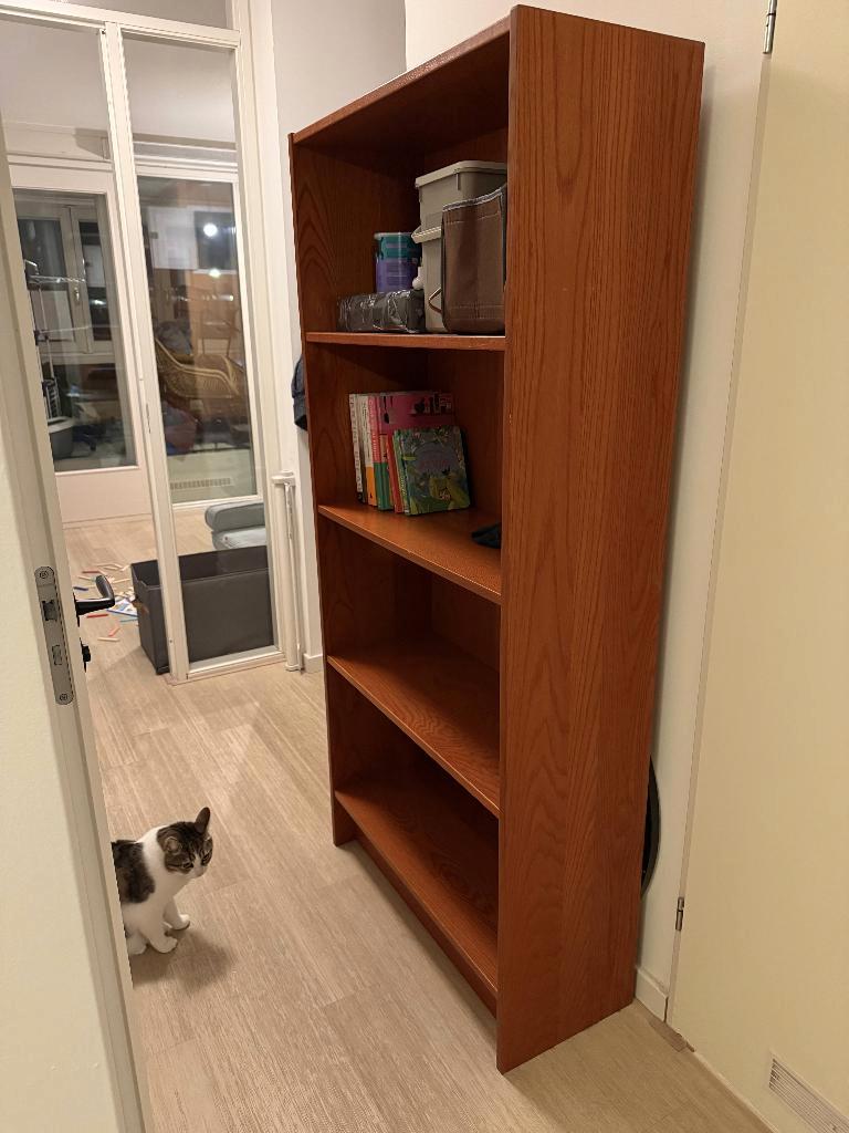Hout Boekenkast