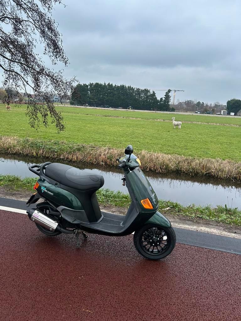 Valbeugels gezocht skipper quartz