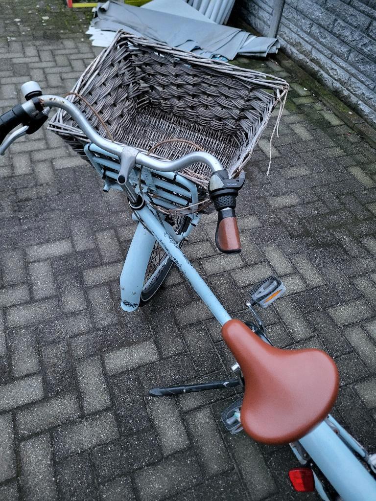 Meisjes fiets