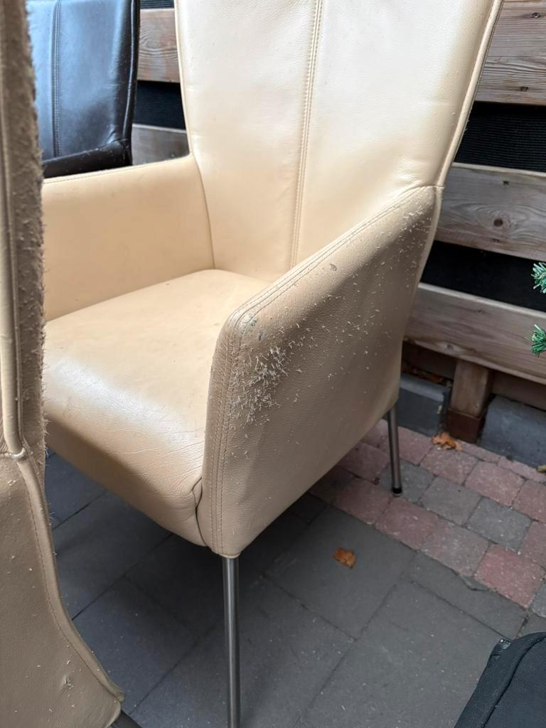 GRATIS 6x eetkamer stoelen