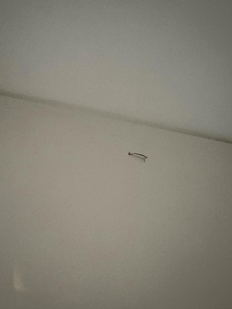 Ikea Kledingkast 19/12 ophalen