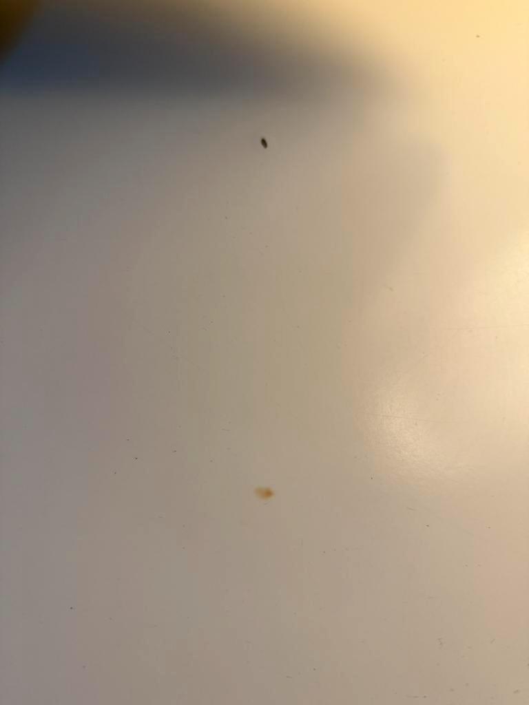 ️TV meubel GRATIS af te halen️