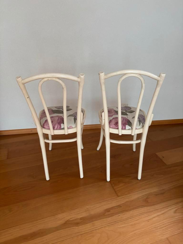 Twee Keukenstoelen met Bloemenmotief