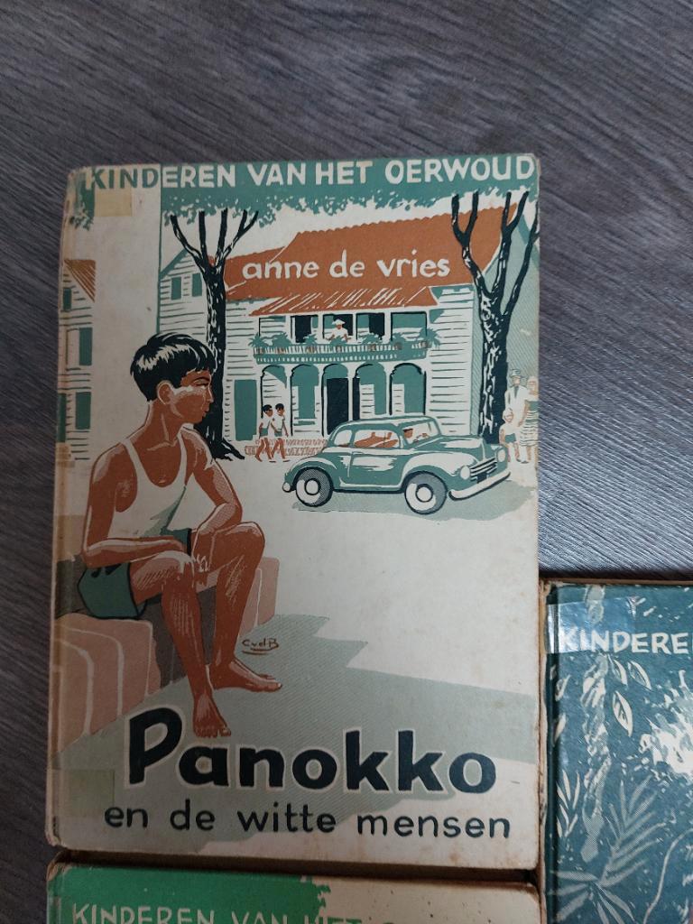 Panokko (Anne de Vries)