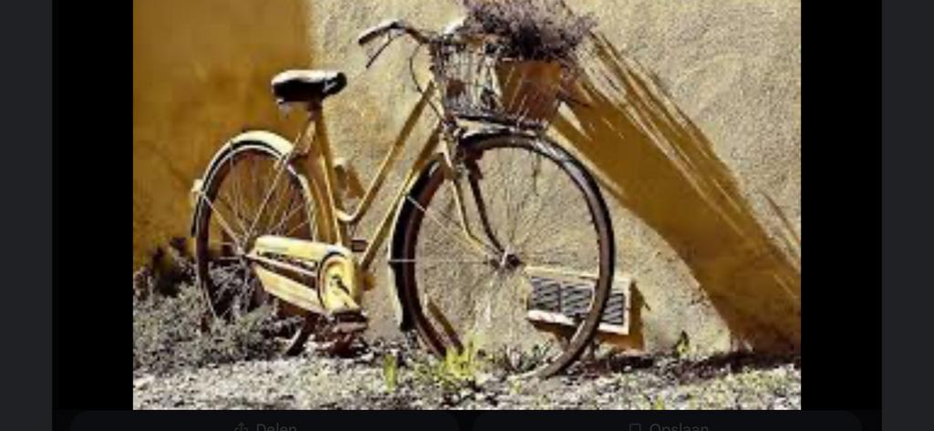 Gevraagd; gratis opknappers en afdankers.