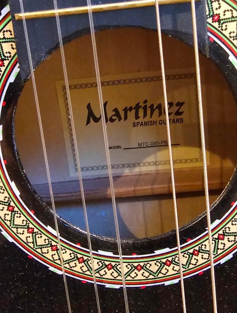 6-snarige gitaar dit