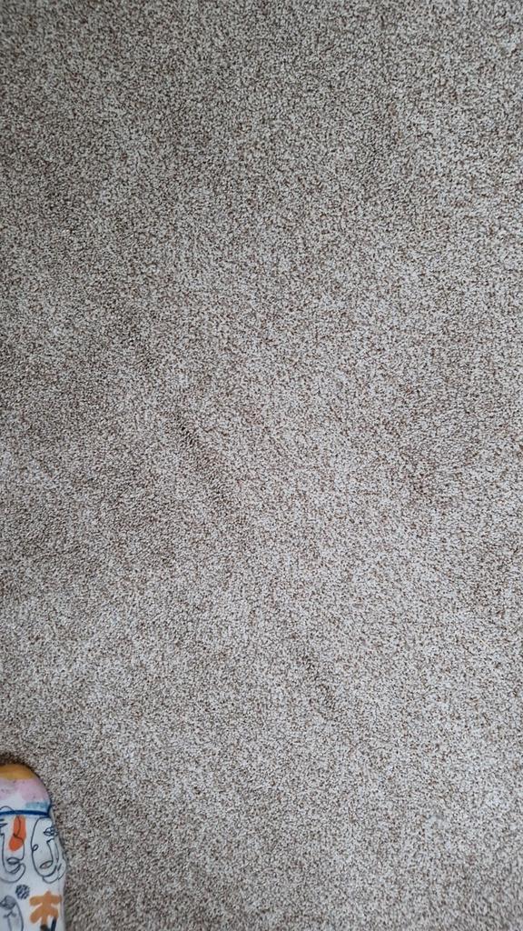 Vloerbedekking stuk voor opberghok/kruipkast