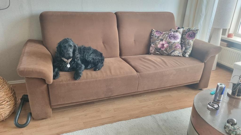 twee en n half zitter