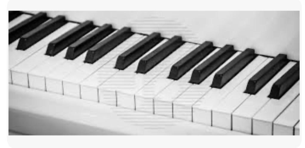 Toetsenist(e) gezocht