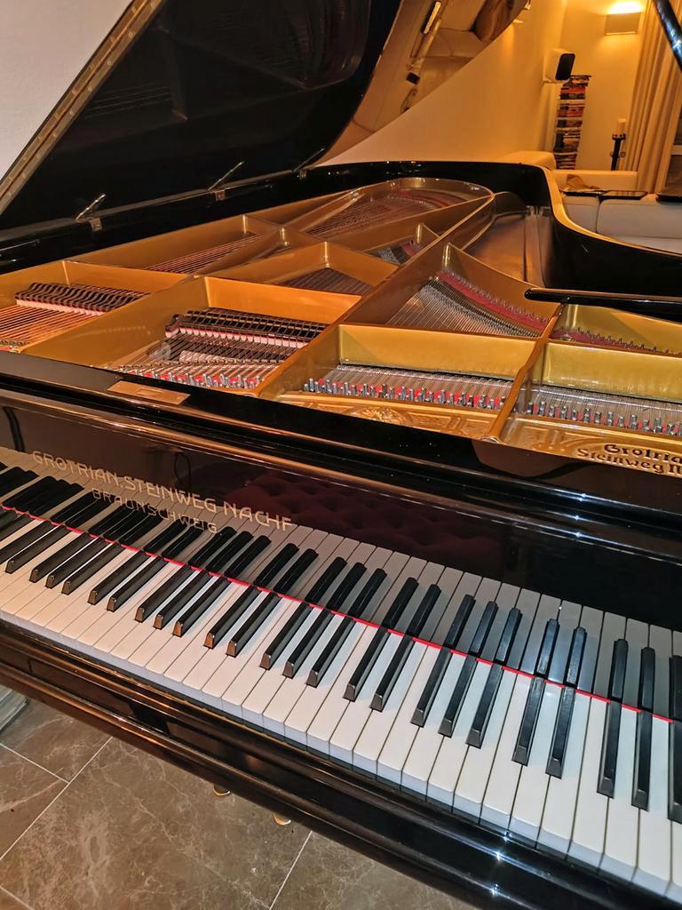 Vleugelstemmer gepensioneerd 75€