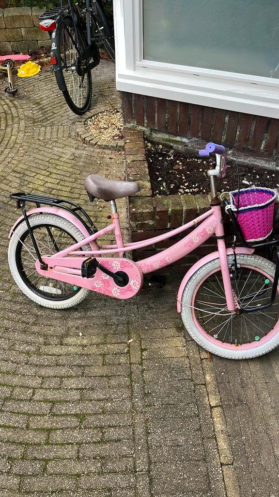 Meisjesfiets roze 20 inch gratis