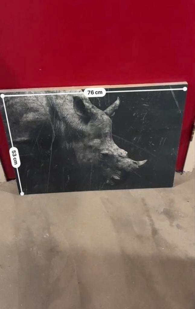 Neushoorn Schilderij Wanddecoratie foto - Gratis