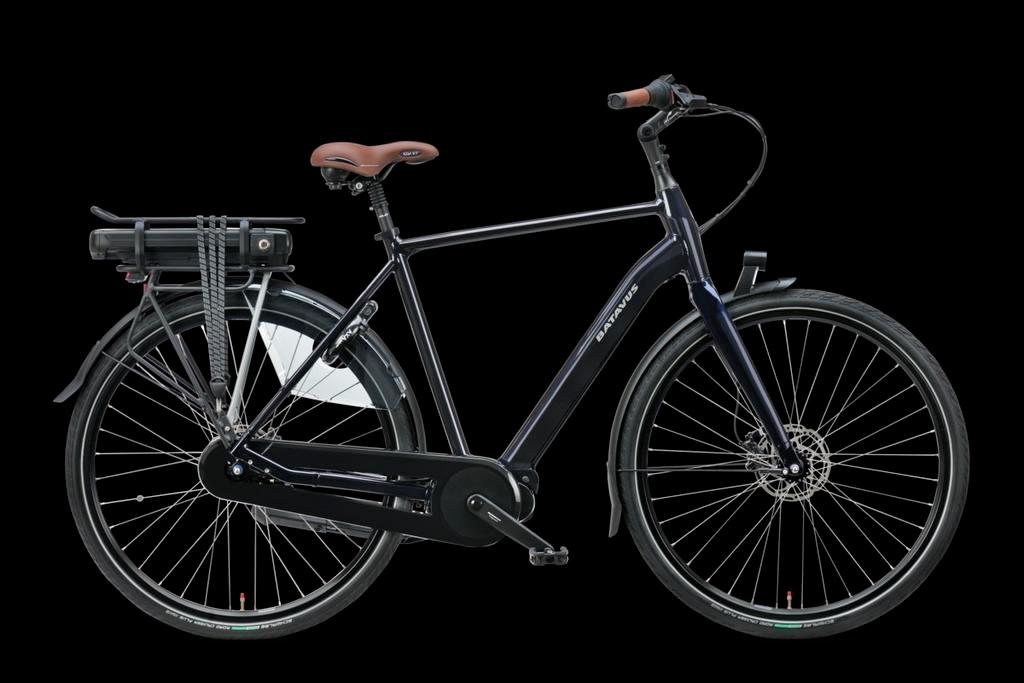 Gestolen! Batavus Finez