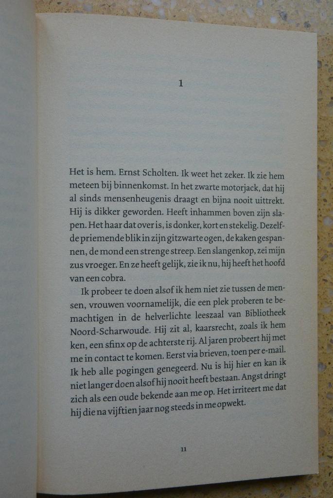 2x Saskia Noort Thriller De verbouwing + Afgunst Gratis