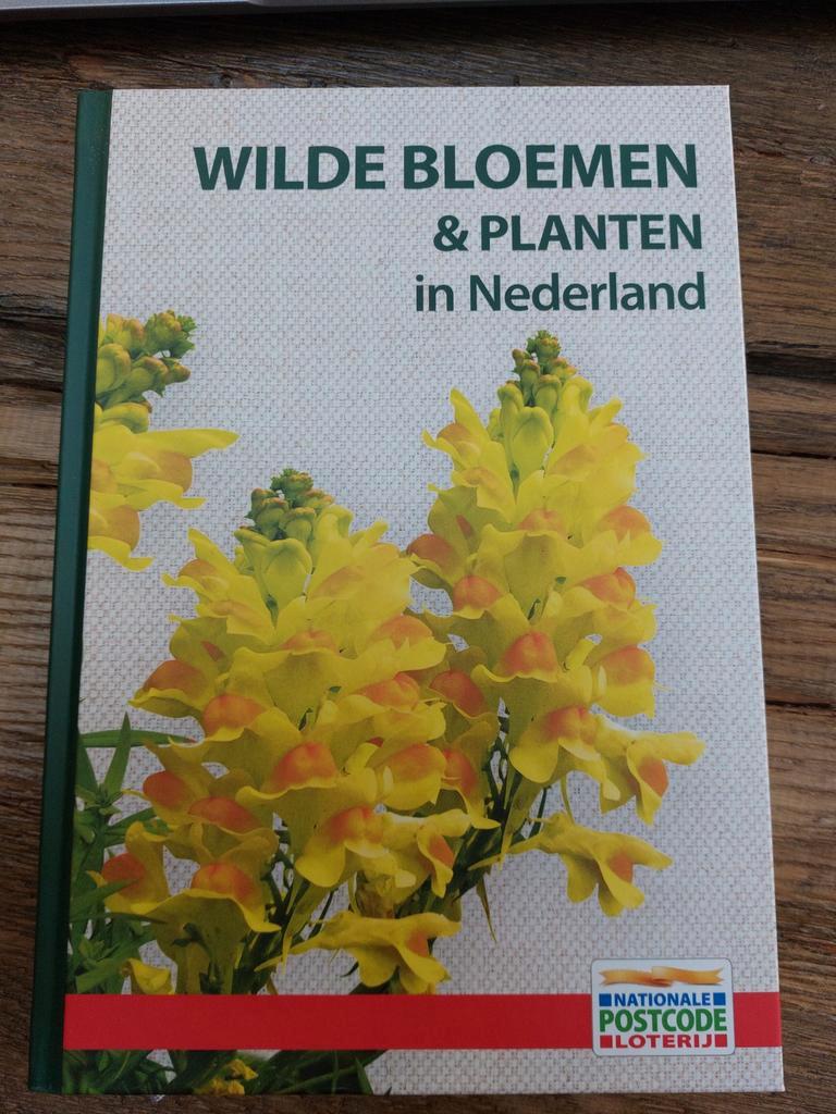 Wilde Bloemen & Planten in Nederland - Natuurgids