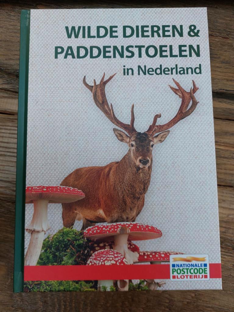 Wilde Dieren & Paddenstoelen in Nederland