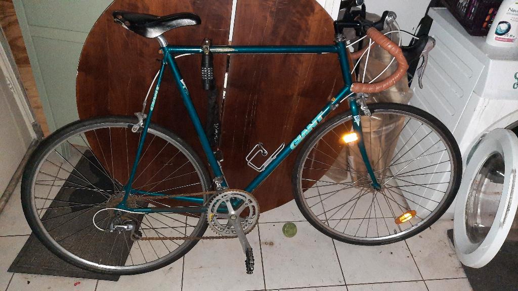 I will give the bicycle only to its owner.