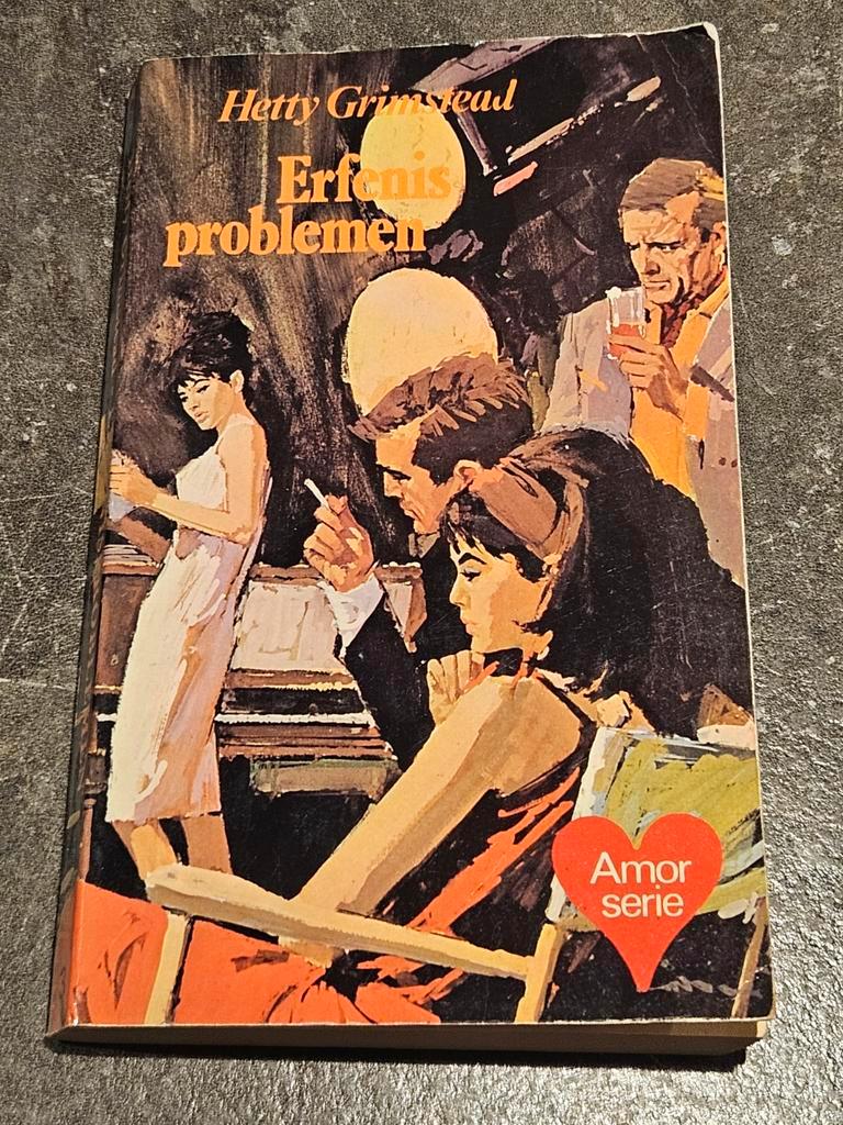 Erfenis problemen pocket roman van Hetty Grimstead